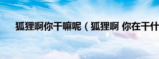 狐狸啊你干嘛呢（狐狸啊 你在干什么）