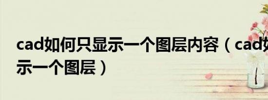 cad如何只显示一个图层内容（cad如何只显示一个图层）