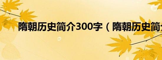 隋朝历史简介300字（隋朝历史简介）