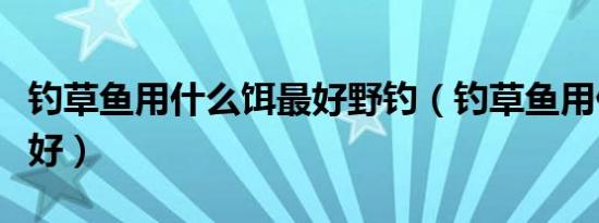 钓草鱼用什么饵最好野钓（钓草鱼用什么饵最好）