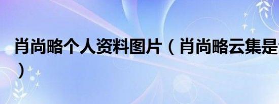 肖尚略个人资料图片（肖尚略云集是合法的吗）