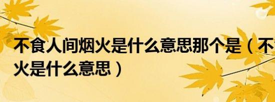 不食人间烟火是什么意思那个是（不食人间烟火是什么意思）