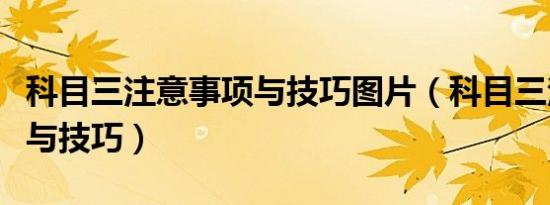 科目三注意事项与技巧图片（科目三注意事项与技巧）