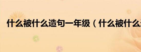 什么被什么造句一年级（什么被什么造句）