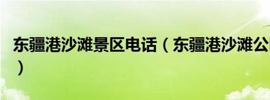 东疆港沙滩景区电话（东疆港沙滩公园收费吗）