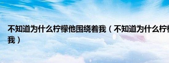 不知道为什么柠檬他围绕着我（不知道为什么柠檬它围绕着我）