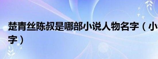 楚青丝陈叔是哪部小说人物名字（小说人物名字）