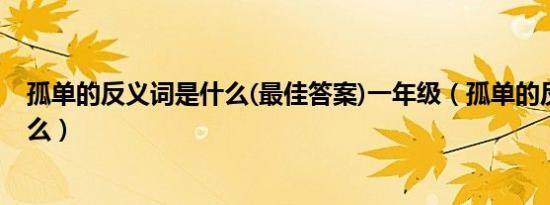 孤单的反义词是什么(最佳答案)一年级（孤单的反义词是什么）