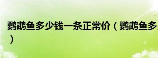 鹦鹉鱼多少钱一条正常价（鹦鹉鱼多少钱一条）