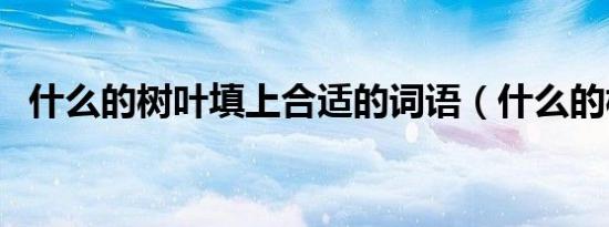 什么的树叶填上合适的词语（什么的树叶）