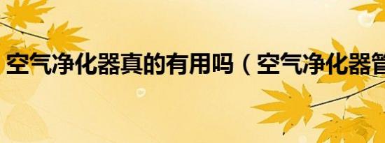 空气净化器真的有用吗（空气净化器管用吗）