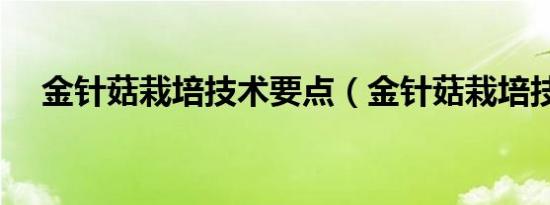 金针菇栽培技术要点（金针菇栽培技术）