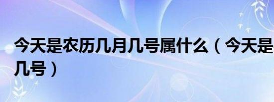 今天是农历几月几号属什么（今天是农历几月几号）