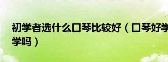 初学者选什么口琴比较好（口琴好学吗 能自学吗）