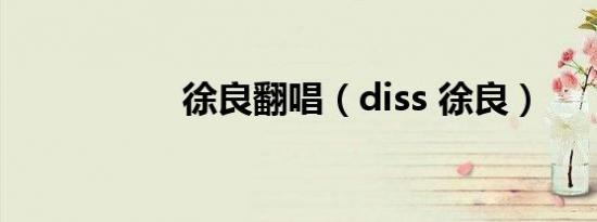 徐良翻唱（diss 徐良）