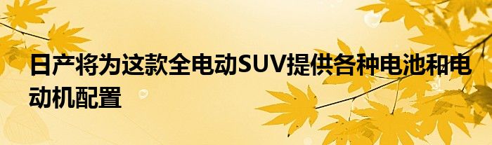 日产将为这款全电动SUV提供各种电池和电动机配置(图1)