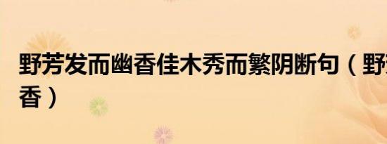 野芳发而幽香佳木秀而繁阴断句（野芳发而幽香）