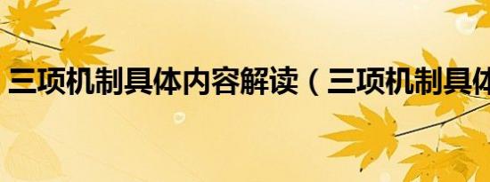 三项机制具体内容解读（三项机制具体内容）