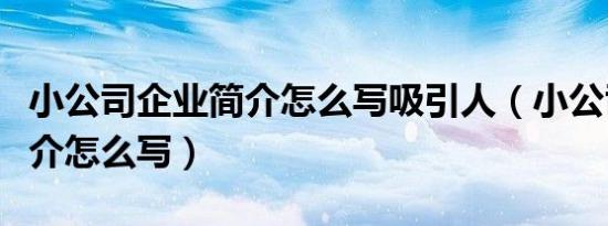 小公司企业简介怎么写吸引人（小公司企业简介怎么写）