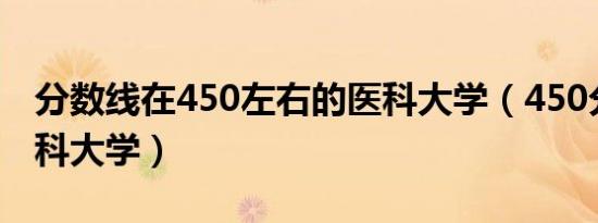 分数线在450左右的医科大学（450分理科医科大学）