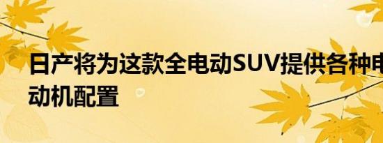 日产将为这款全电动SUV提供各种电池和电动机配置