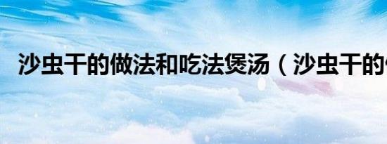 沙虫干的做法和吃法煲汤（沙虫干的做法）