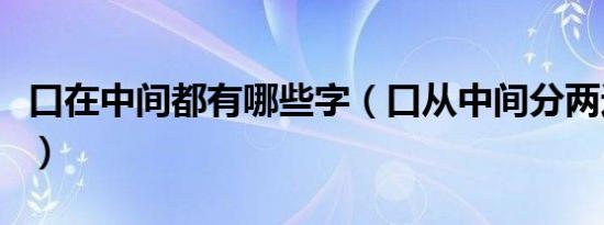 口在中间都有哪些字（口从中间分两边打一字）