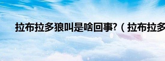 拉布拉多狼叫是啥回事?（拉布拉多狼）