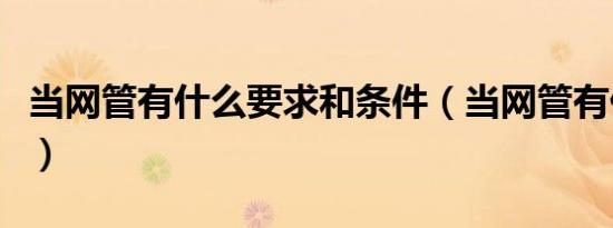 当网管有什么要求和条件（当网管有什么要求）