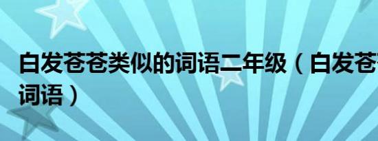 白发苍苍类似的词语二年级（白发苍苍类似的词语）