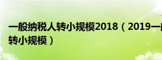 一般纳税人转小规模2018（2019一般纳税人转小规模）