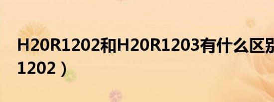 H20R1202和H20R1203有什么区别（h20r1202）