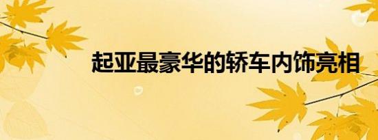 起亚最豪华的轿车内饰亮相