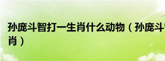 孙庞斗智打一生肖什么动物（孙庞斗智打一生肖）