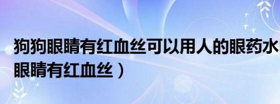 狗狗眼睛有红血丝可以用人的眼药水吗（狗狗眼睛有红血丝）