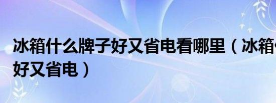 冰箱什么牌子好又省电看哪里（冰箱什么牌子好又省电）