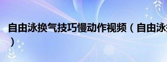 自由泳换气技巧慢动作视频（自由泳换气技巧）