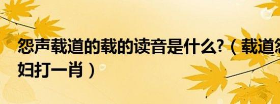 怨声载道的载的读音是什么?（载道怨声像泼妇打一肖）