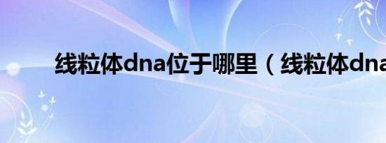 线粒体dna位于哪里（线粒体dna）