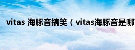 vitas 海豚音搞笑（vitas海豚音是哪首歌）