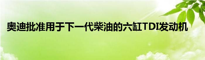 奥迪批准用于下一代柴油的六缸TDI发动机(图1)