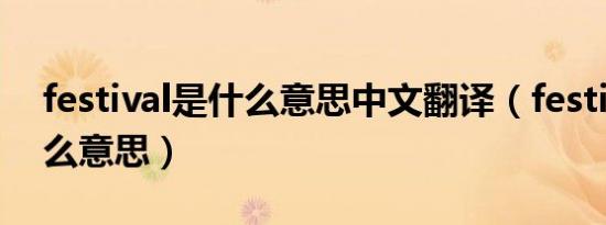 festival是什么意思中文翻译（festival是什么意思）