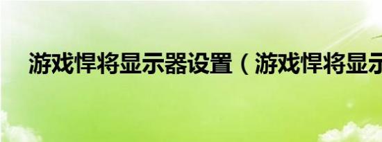 游戏悍将显示器设置（游戏悍将显示器）