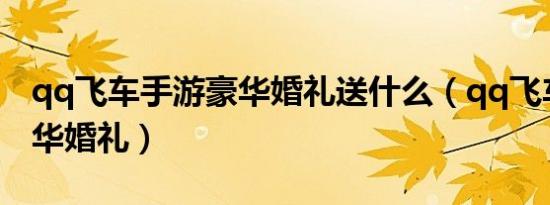 qq飞车手游豪华婚礼送什么（qq飞车手游豪华婚礼）