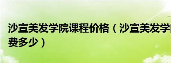 沙宣美发学院课程价格（沙宣美发学院进修学费多少）