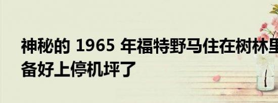 神秘的 1965 年福特野马住在树林里现在准备好上停机坪了