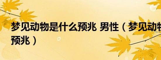 梦见动物是什么预兆 男性（梦见动物是什么预兆）