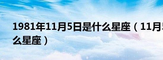 1981年11月5日是什么星座（11月5日是什么星座）