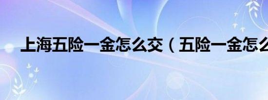 上海五险一金怎么交（五险一金怎么交）