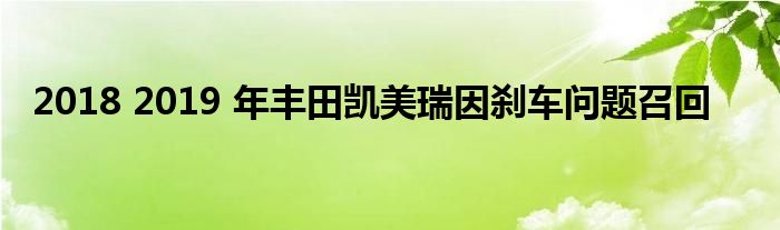 2018 2019 年丰田凯美瑞因刹车问题召回(图1)